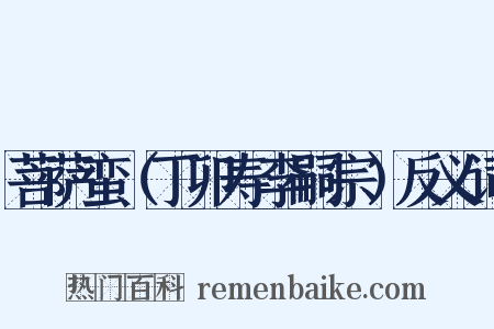 菩萨蛮（丁卯寿李嗣宗）反义词是什么意思的图片